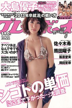 红高粱电视剧全集播放免费观看